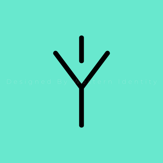 Y Track Brand