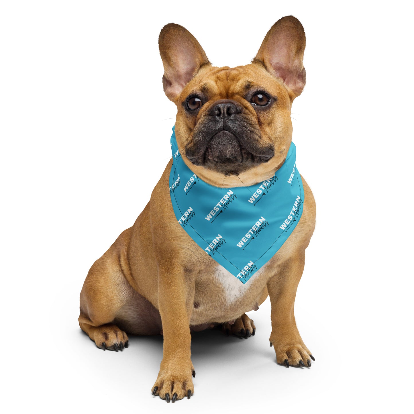 Western Identity Logo Dog Bandana / Branded Wildrag, turquoise in color
